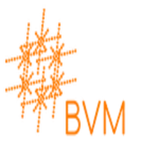 BVM Marketing AI Tools Review